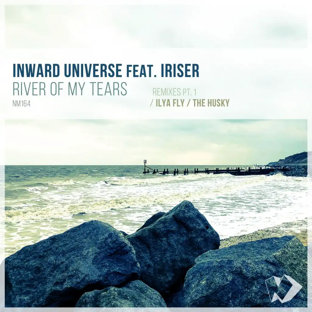 River of My Tears (Ilya Fly Remix) [feat. Iriser]