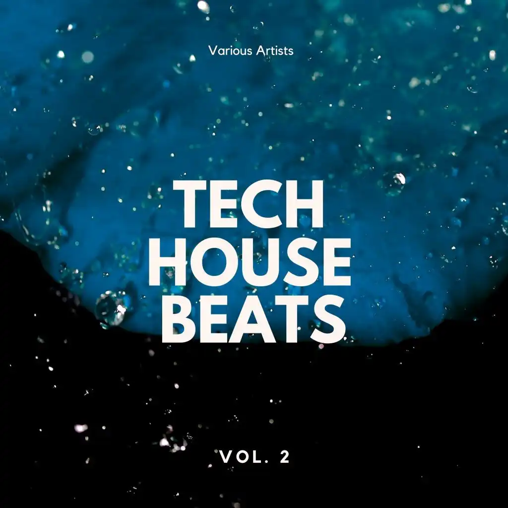 No Title (Tech Groove Mix)
