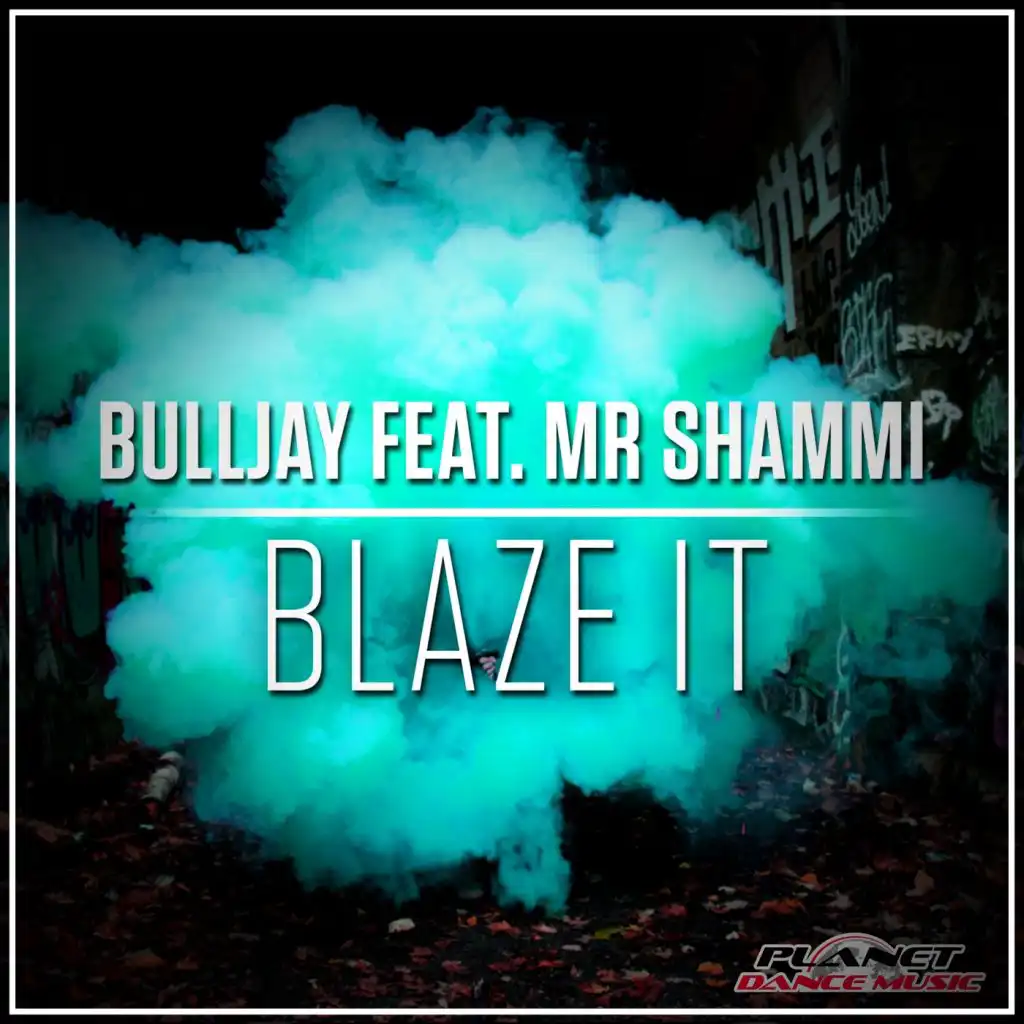 Blaze It (Radio Edit) [feat. Mr. Shammi]
