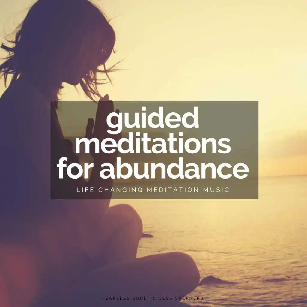 Guided Meditations for Abundance: Life Changing Meditation Music