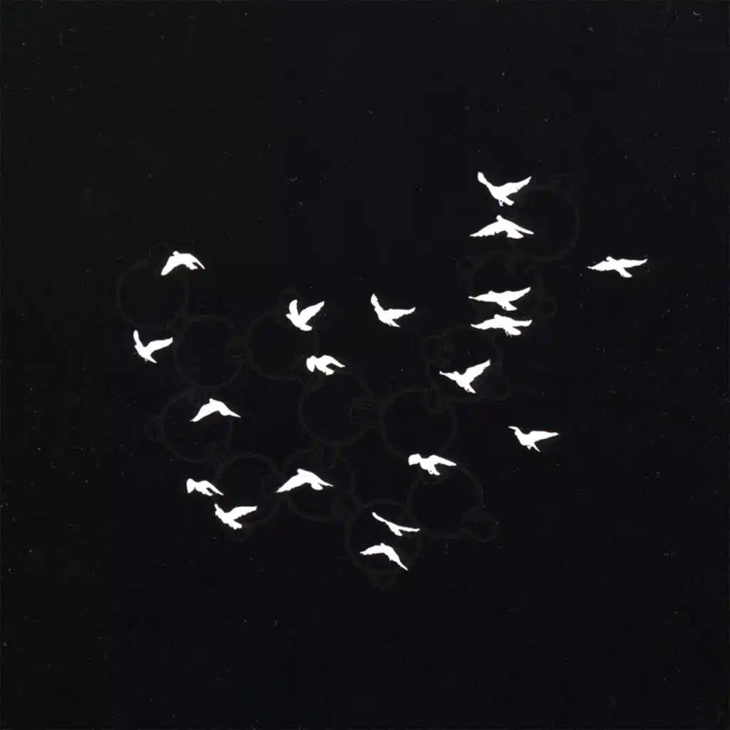 Exceso De Dimensiones