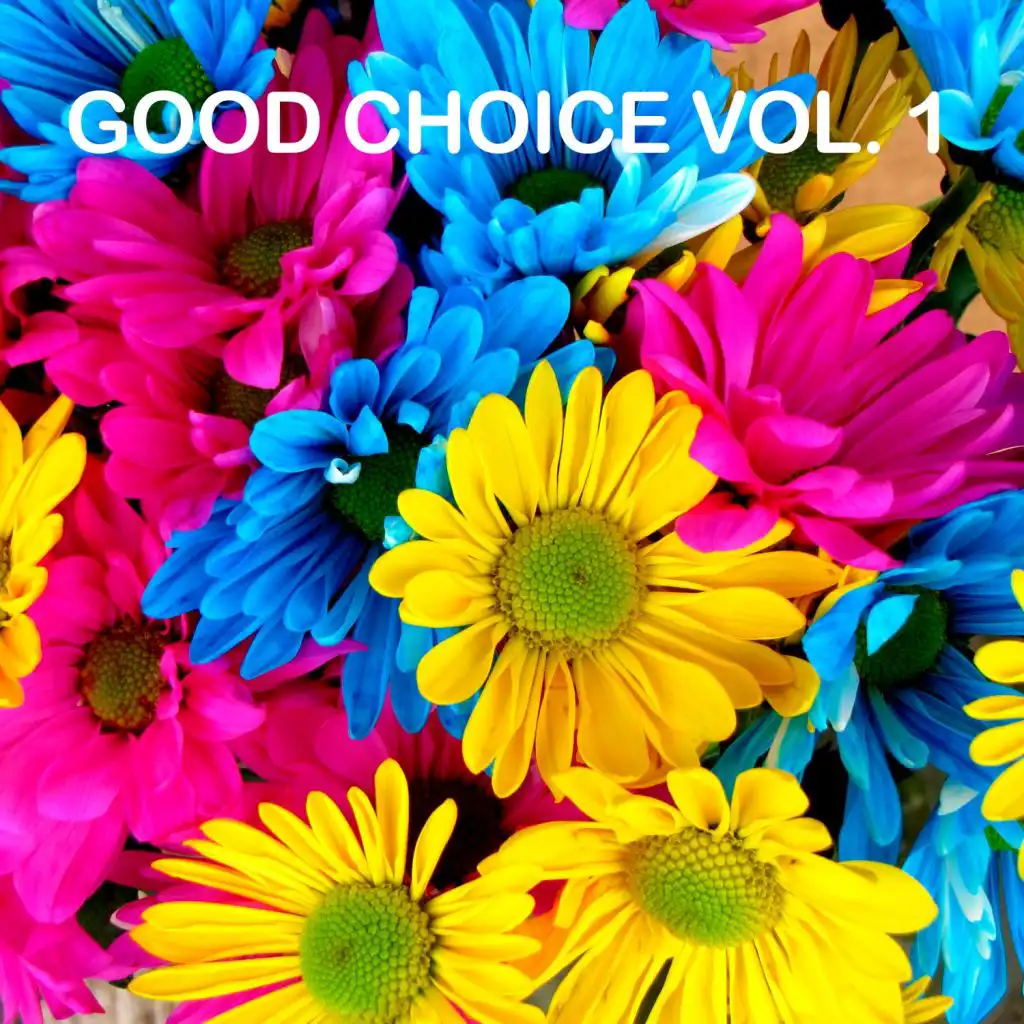 Good Choice, Vol. 1