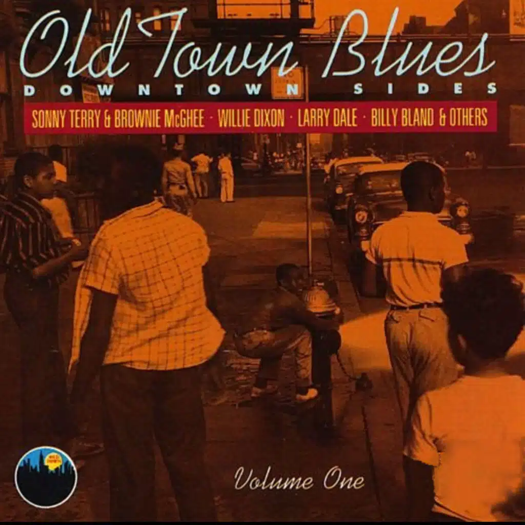 Chicken Hop (feat. Sonny Terry & Brownie McGhee)