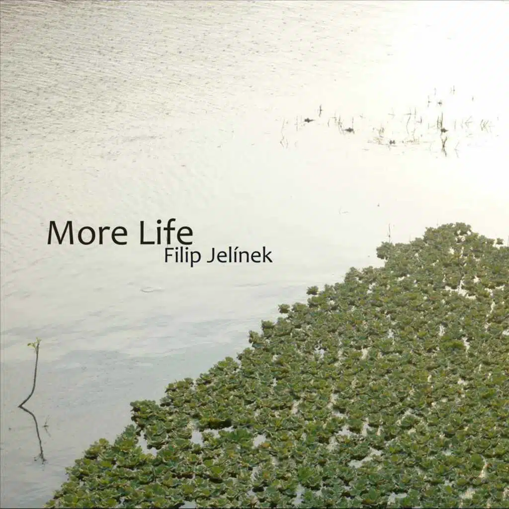 More Life