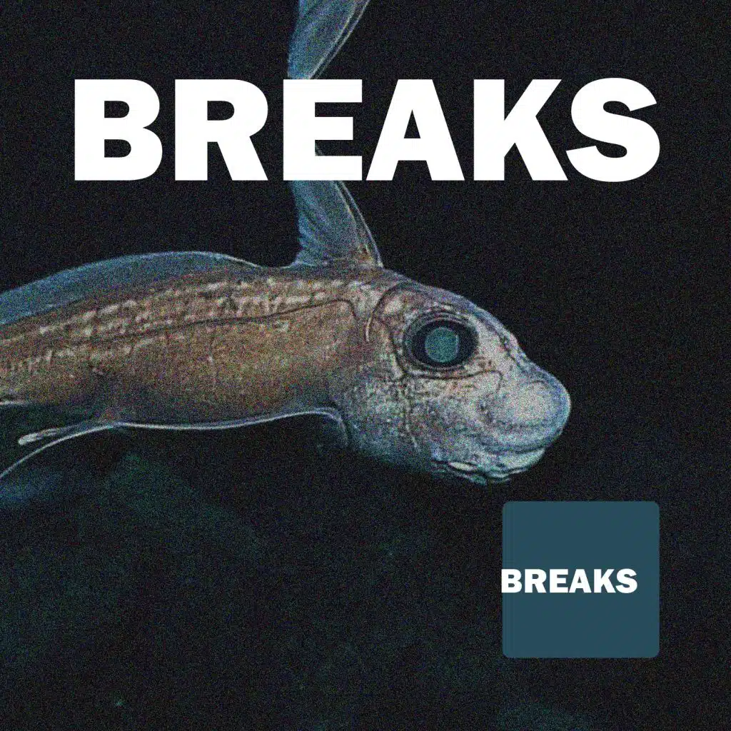 Renewal (Original  Mix)