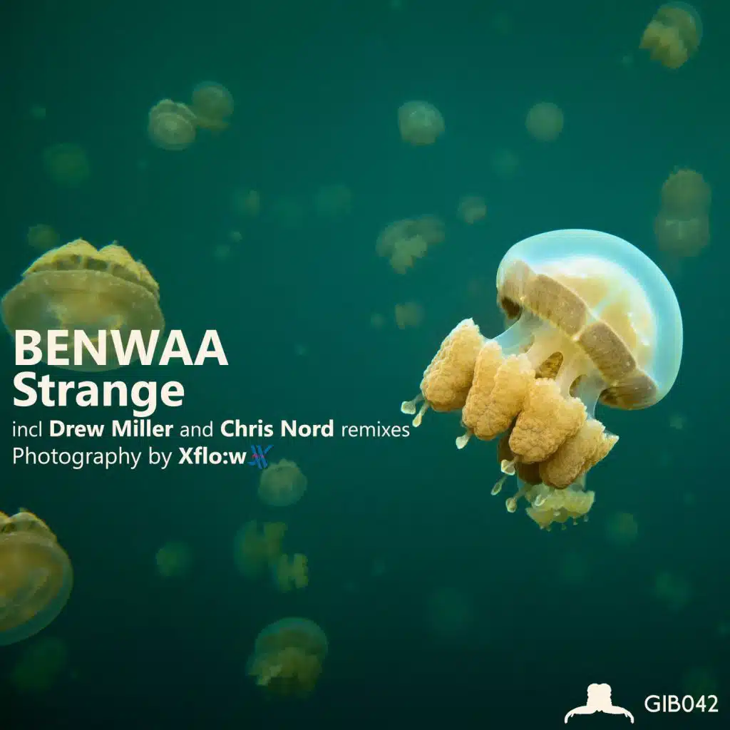 Benwaa