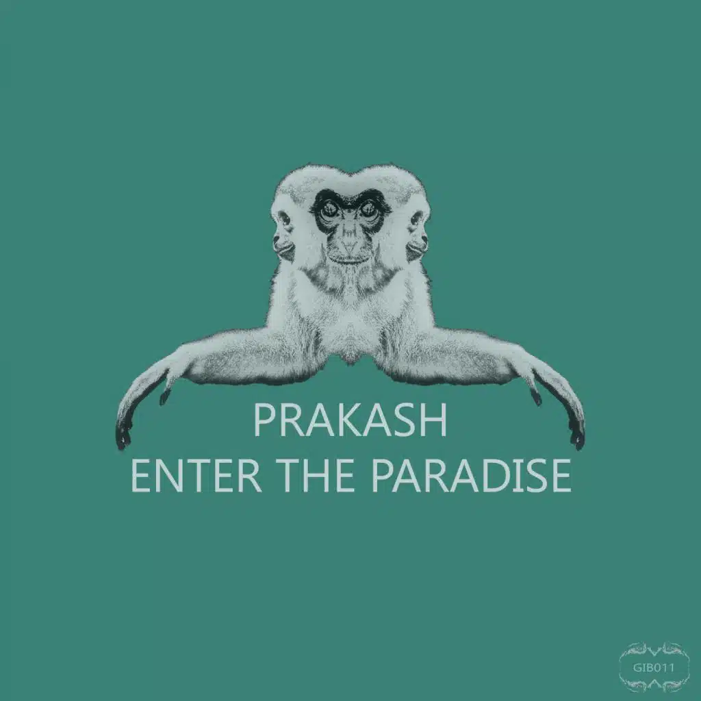 Enter the Paradise