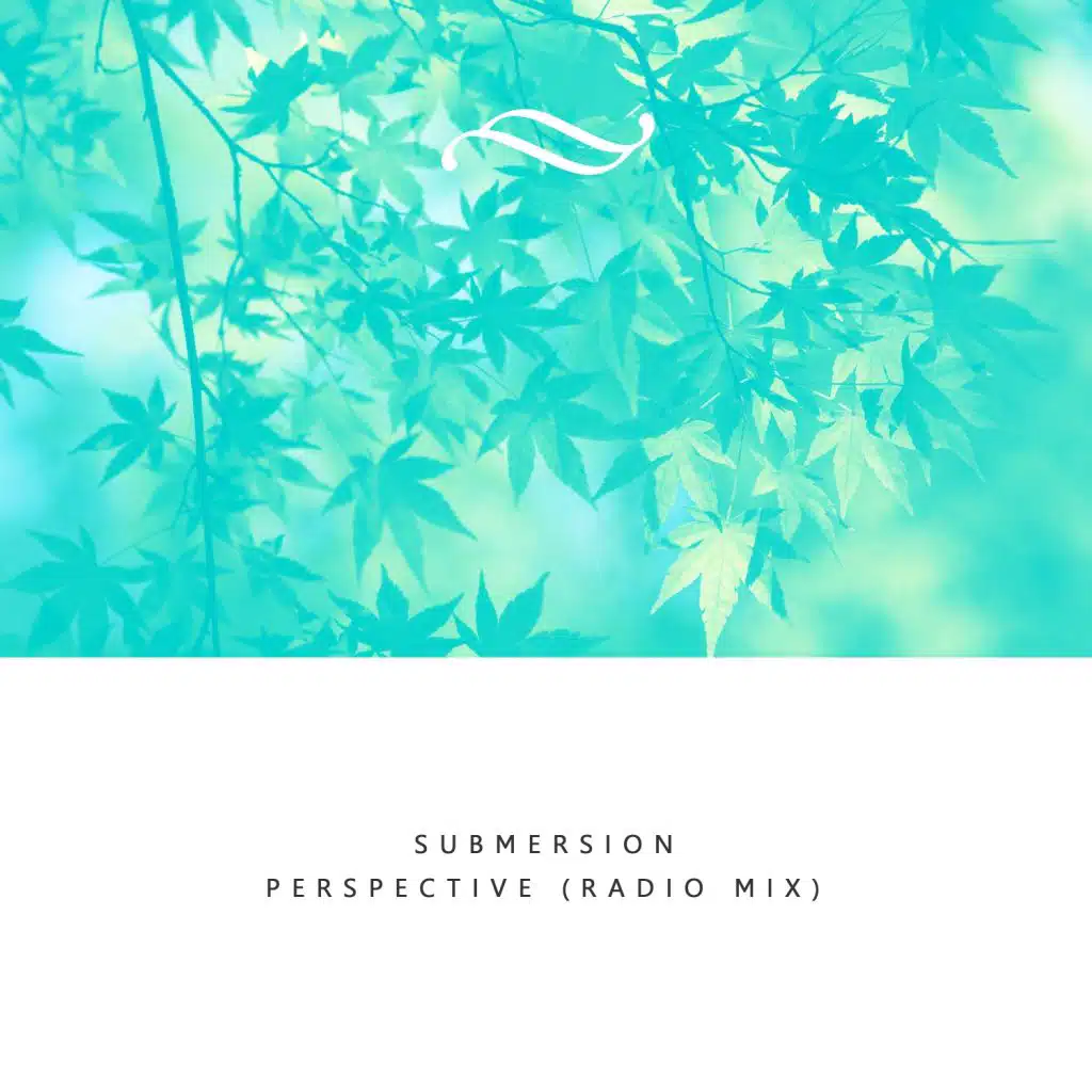 Perspective (Radio Mix)