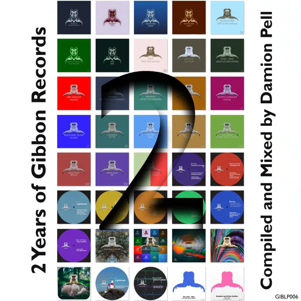 2 Years of Gibbon Records Compiled & Mixed by Damion Pell