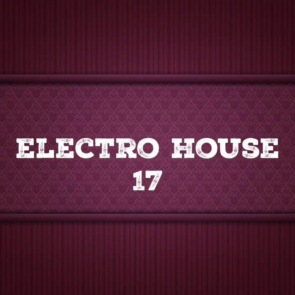 Electro House, Vol. 17