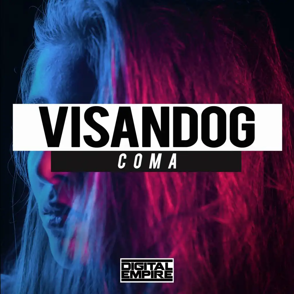 Visandog