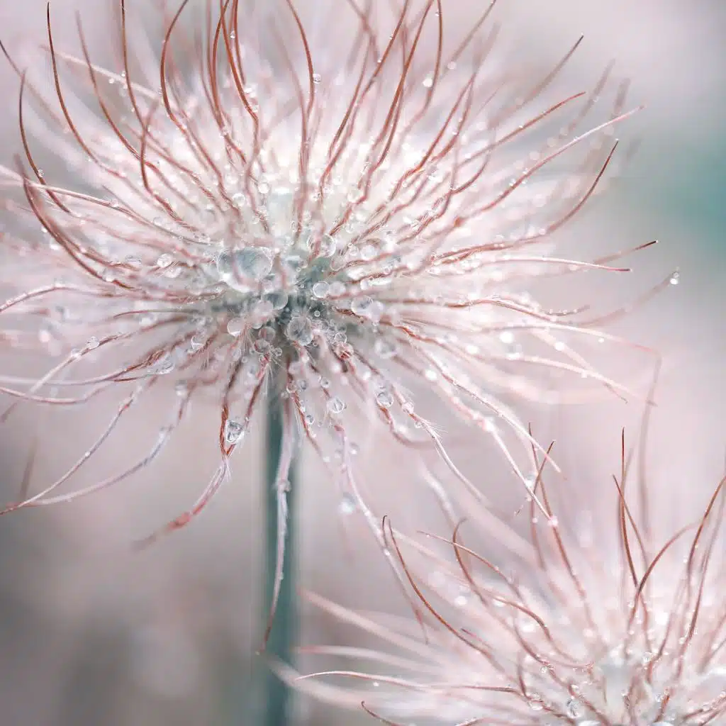 White and Brown Noises for Sleep