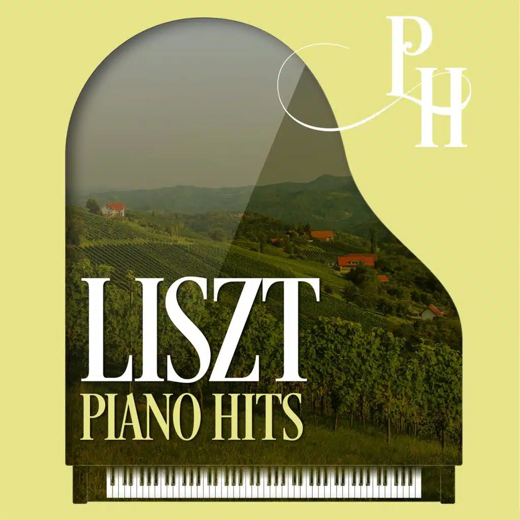 Concerto Pathétique, S. 258: II. Quasi fantasia