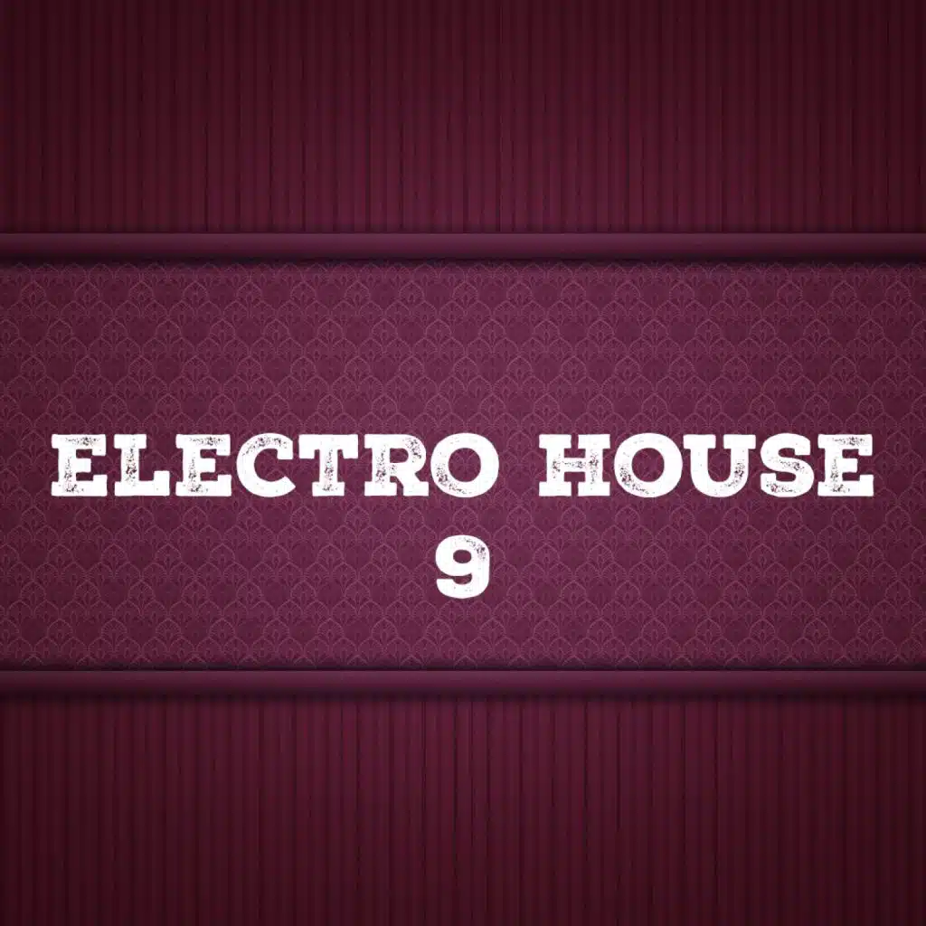 Electro House, Vol. 9