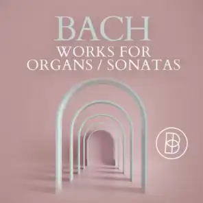 Bach: Works for Organs / Sonatas