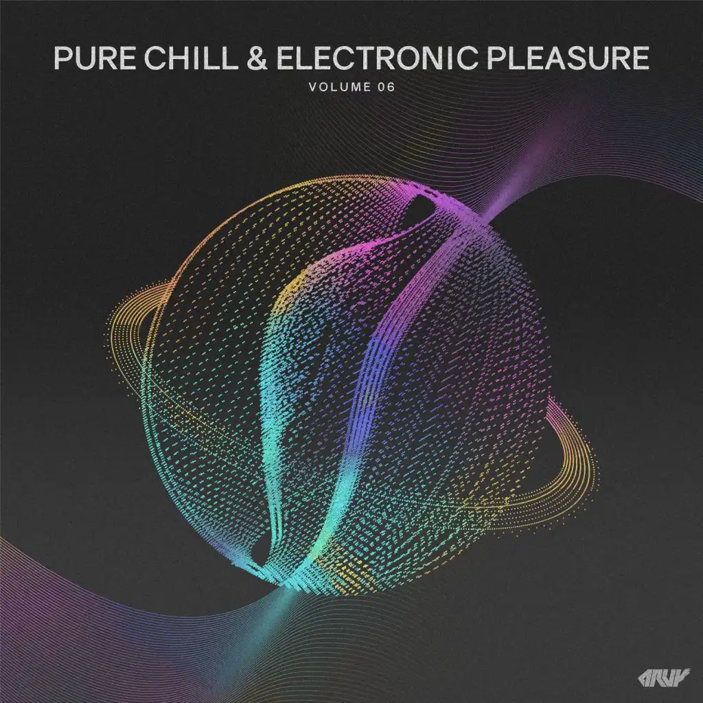 Pure Chill & Electronic Pleasure, Vol.06