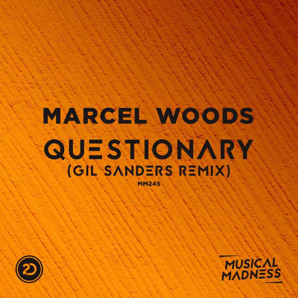 Questionary (Gil Sanders Remix)