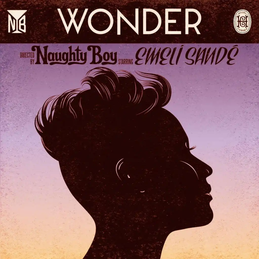 Wonder (ft. Emeli Sandé)