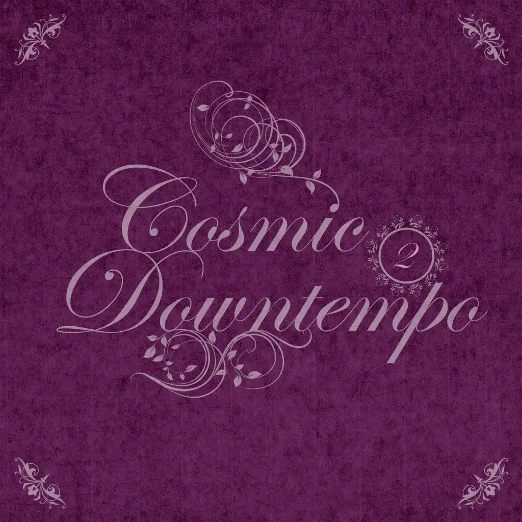 Cosmic Downtempo, Vol.02