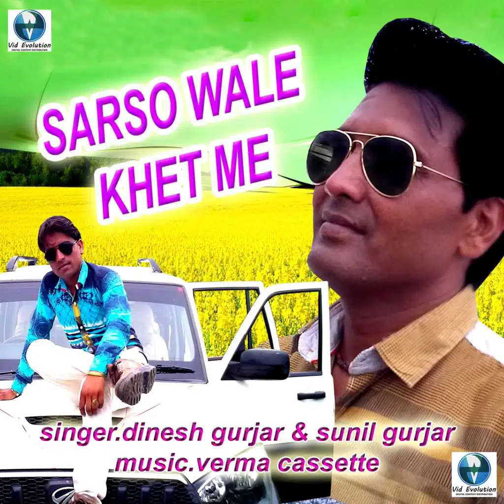 Sarso Wale Khet Me