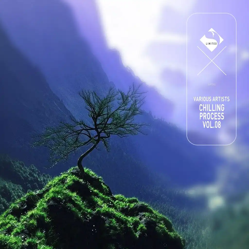 Chilling Process, Vol.08