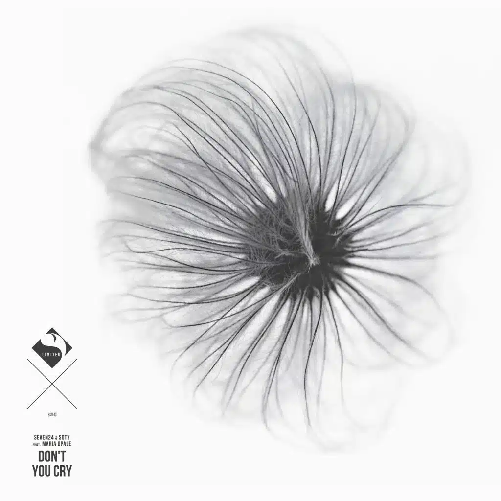 Don't You Cry (feat. Maria Opale)