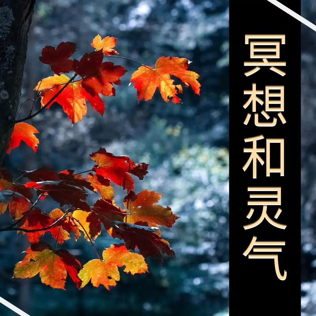 冥想和灵气 - 睡前的安静音乐，森林的声音