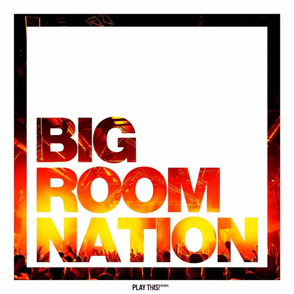 Big Room Nation, Vol. 1