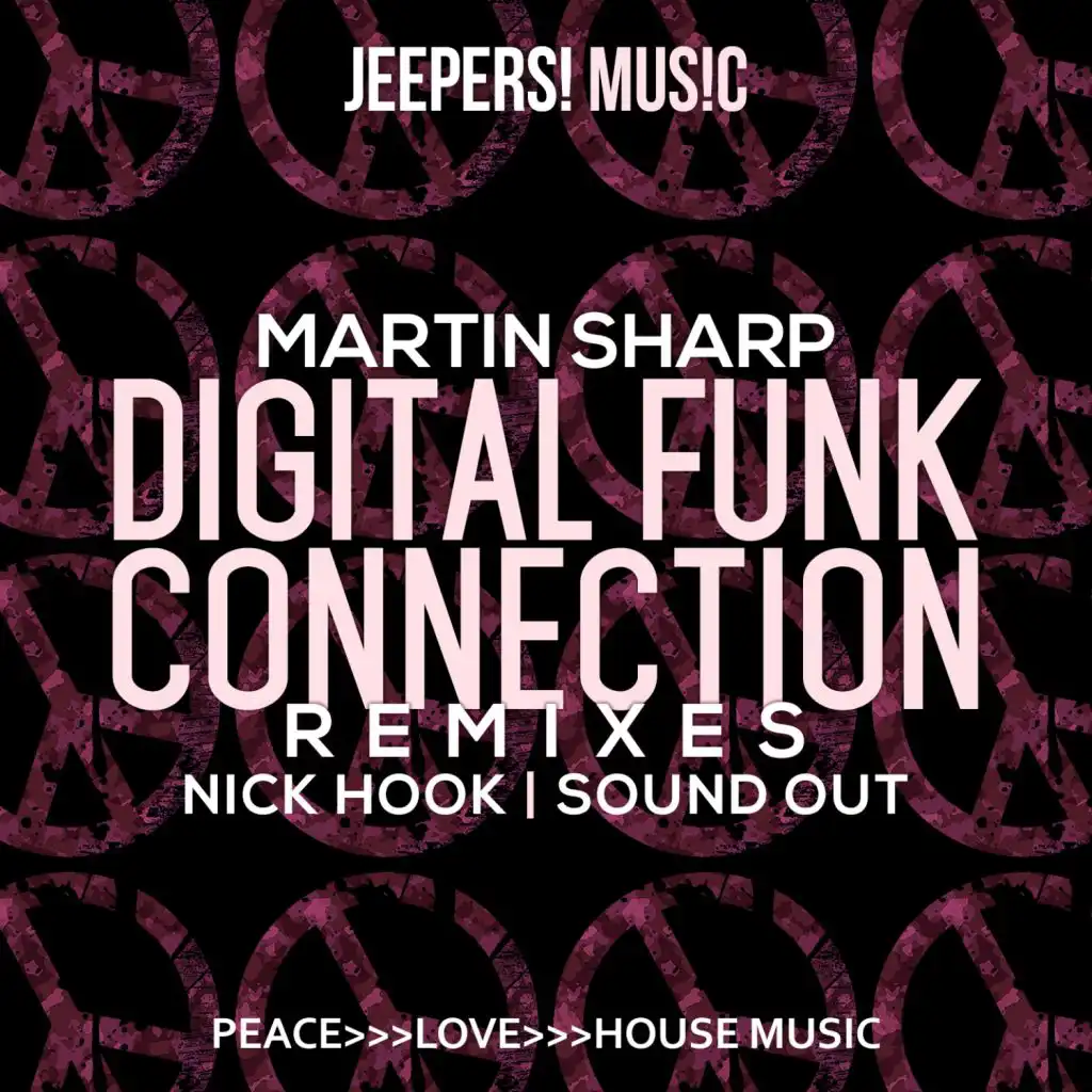 Digital Funk Connection (Remixes)