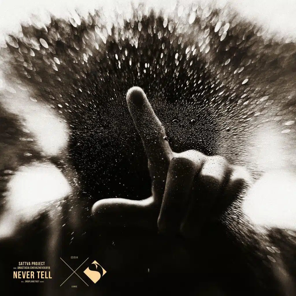 Never Tell (feat. Anastasia Chevazhevskaya)