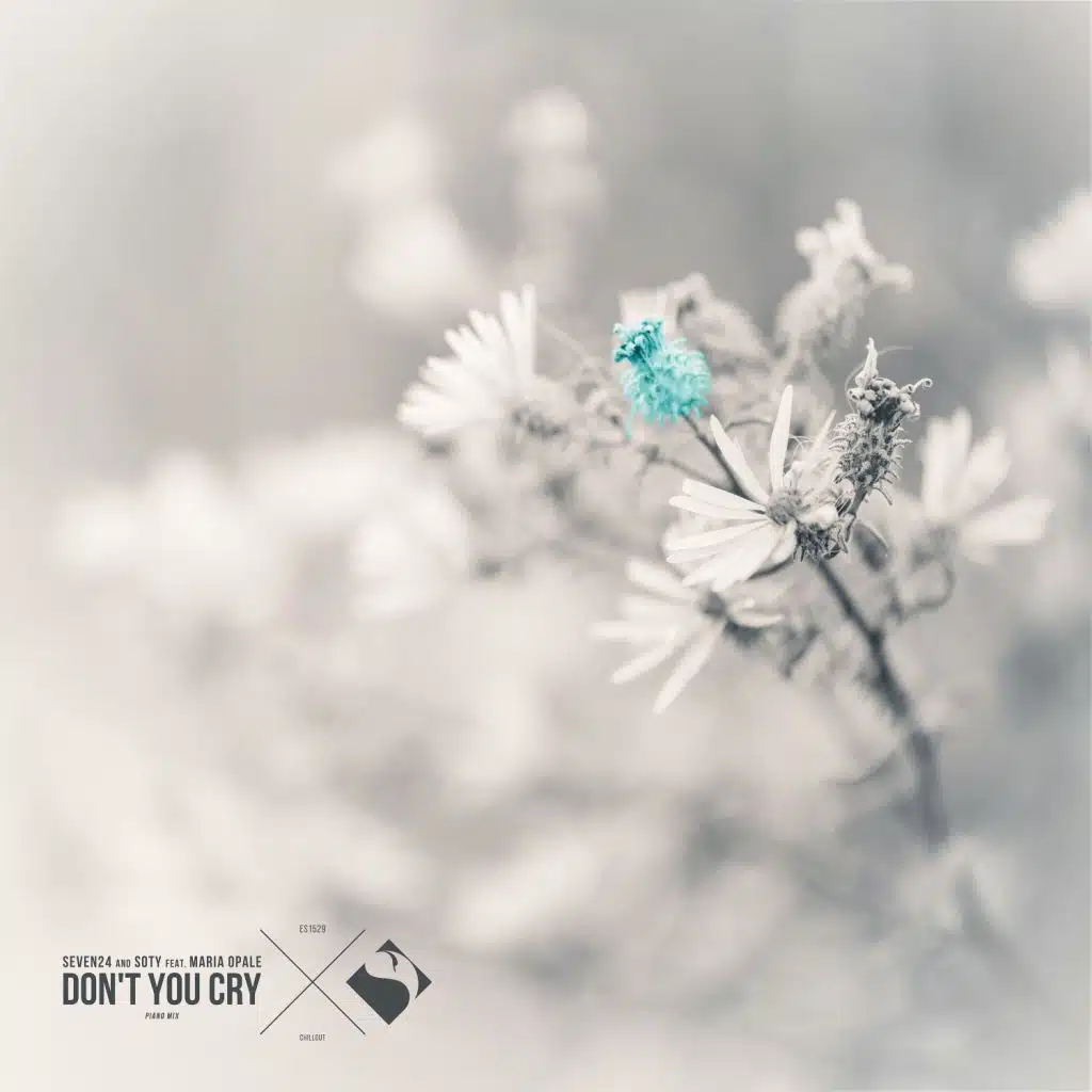 Don't You Cry (Piano Dub Mix)