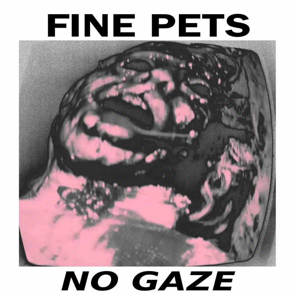 Fine Pets