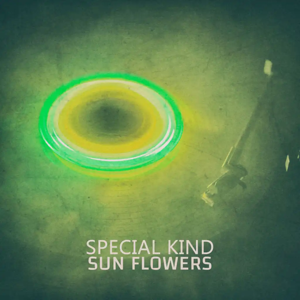 Special Kind (Ranger In The Forest Mix)