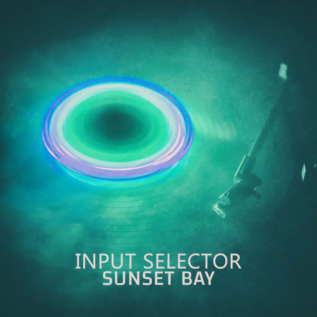 Input Selector (Send And Return Mix)