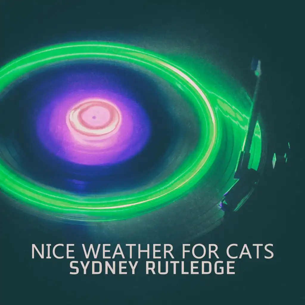 Nice Weather For Cats (Crazy Wet Cat Mix)