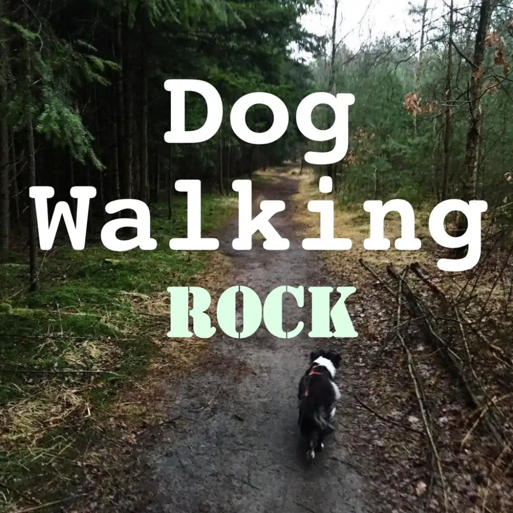 Dog Walking Rock