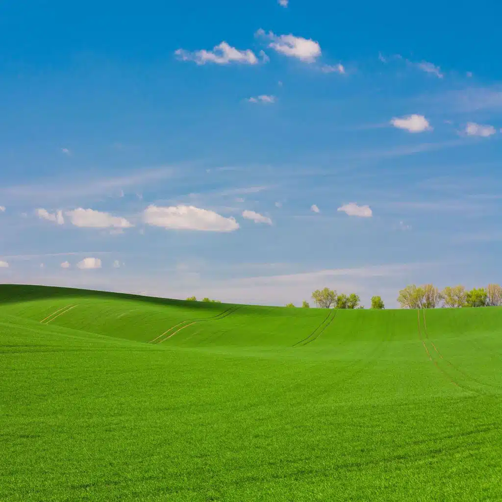 Please Play Some Music & Relaxation JJM