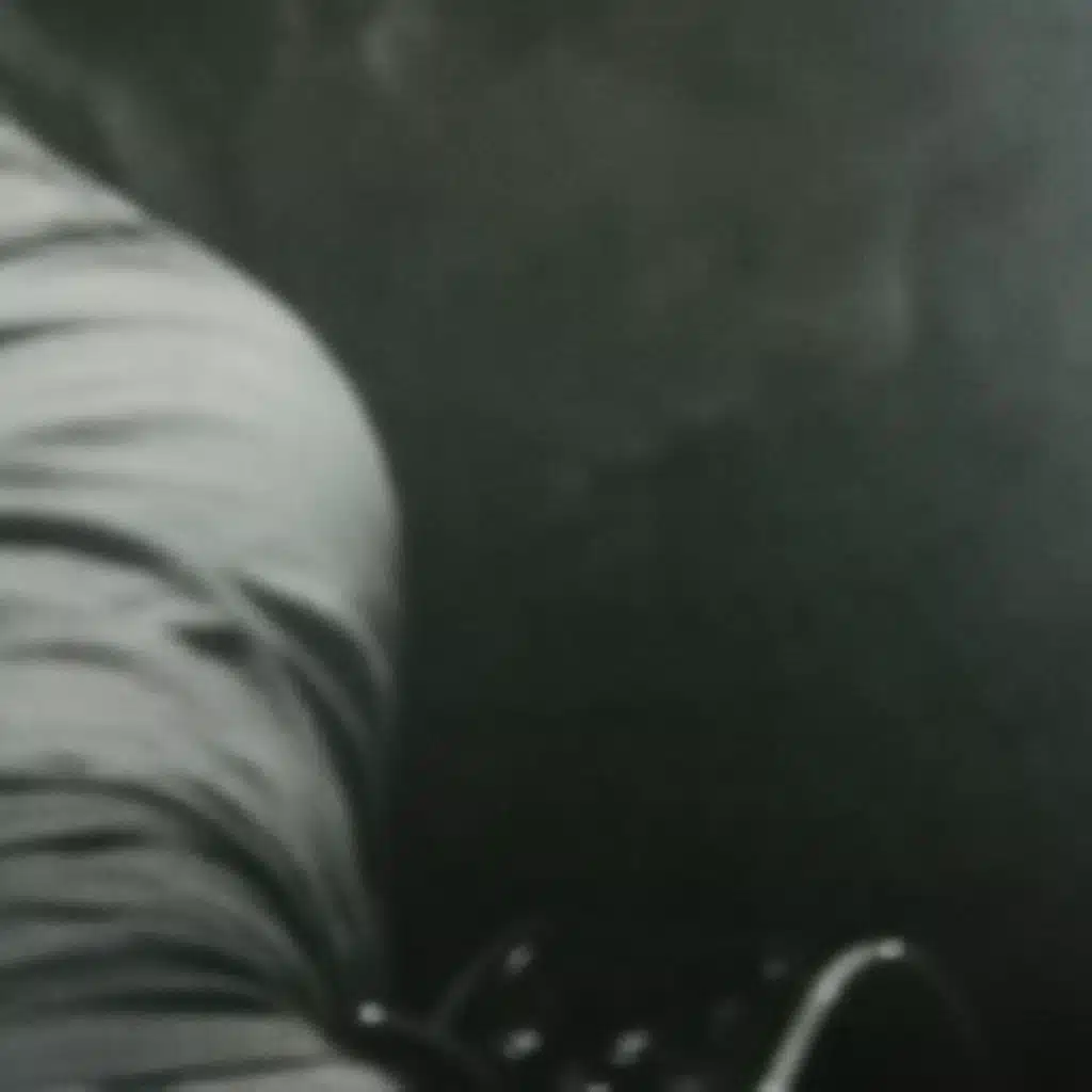 José Antonio Delgado: 2005