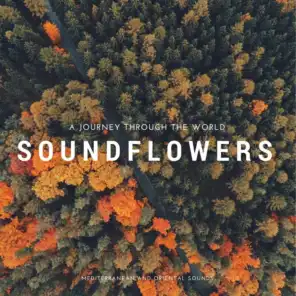 Soundflowers