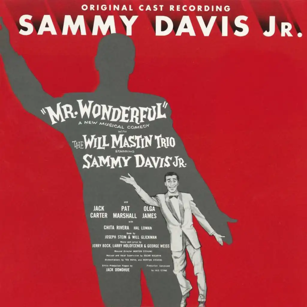 Overture "Mr. Wonderful"