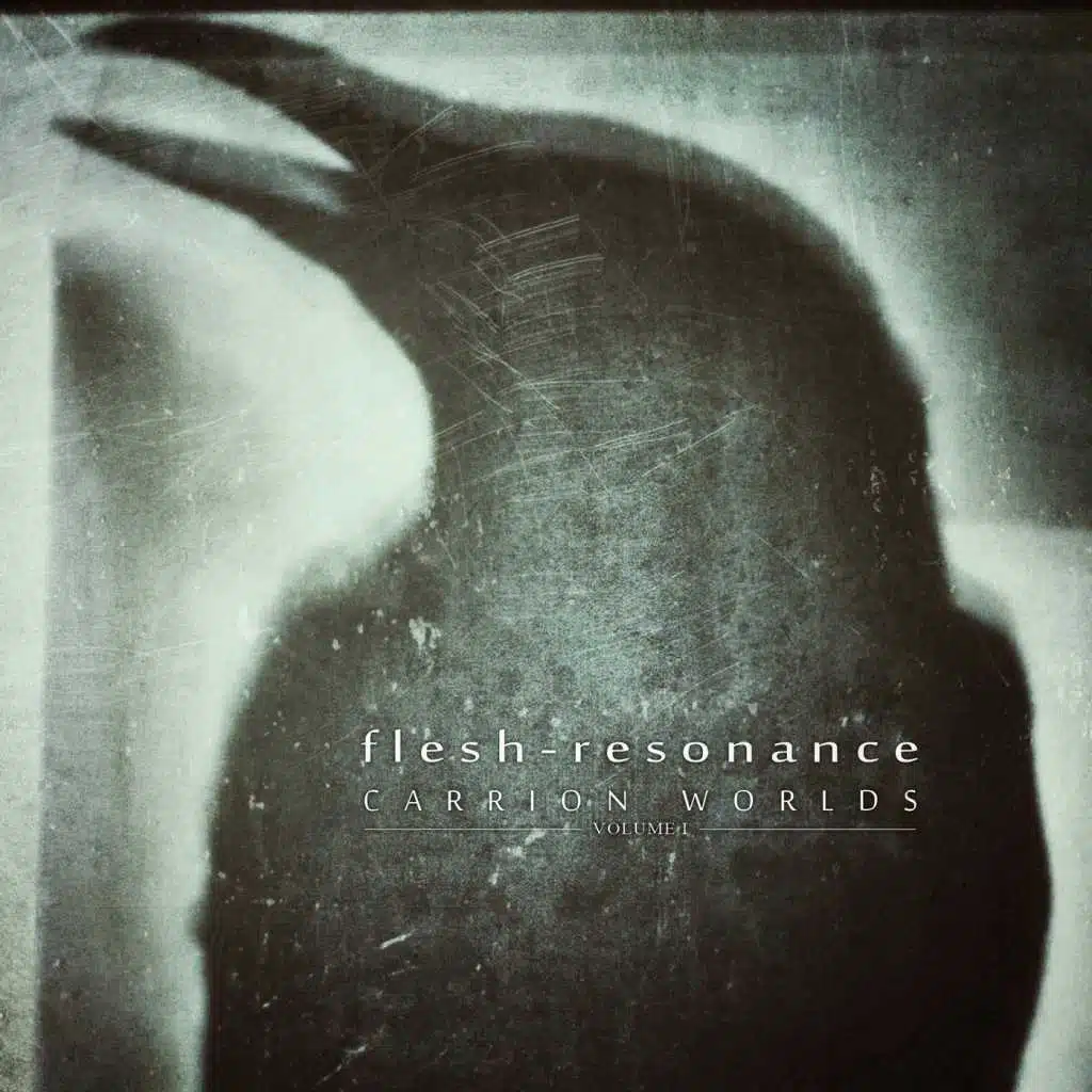 Flesh-Resonance
