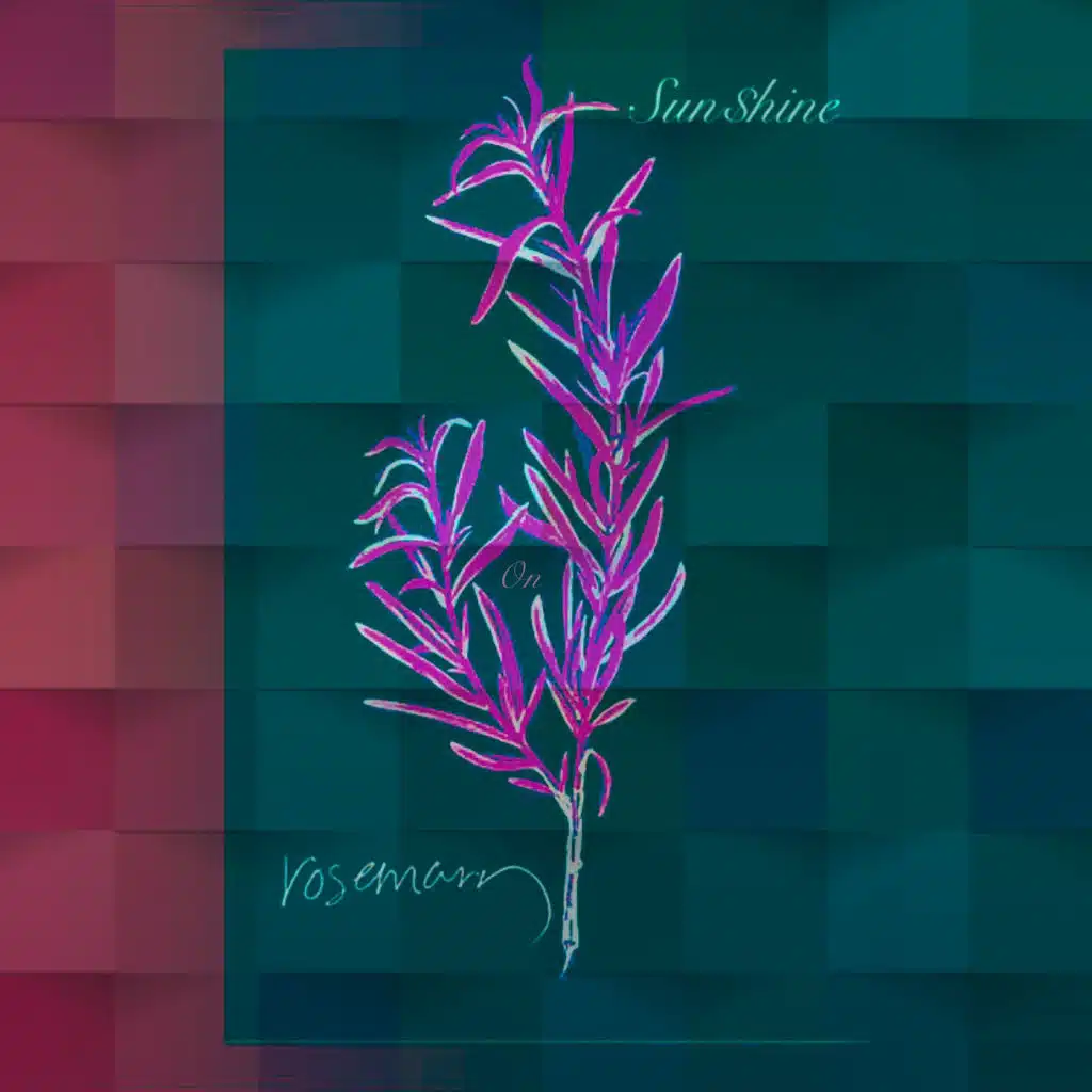 Sunshine on Rosemary