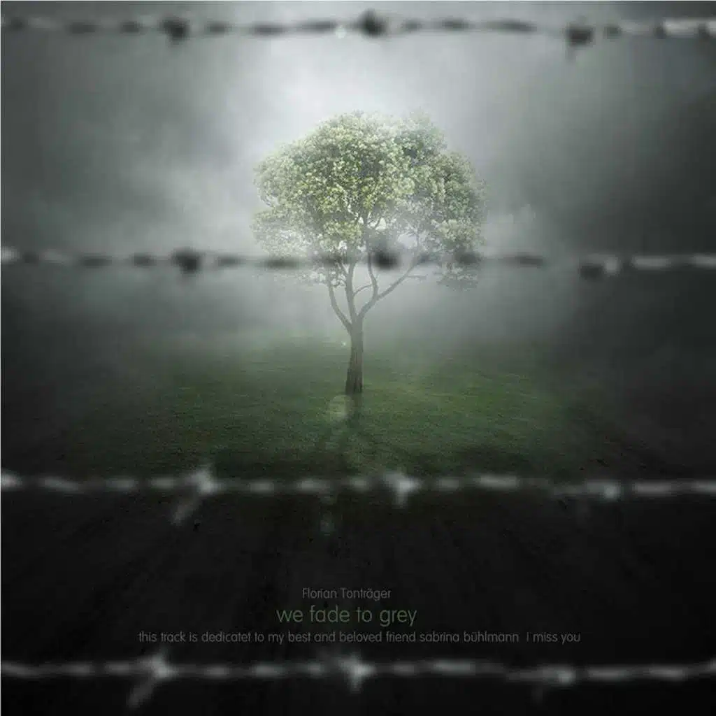 Fade to Grey - Single