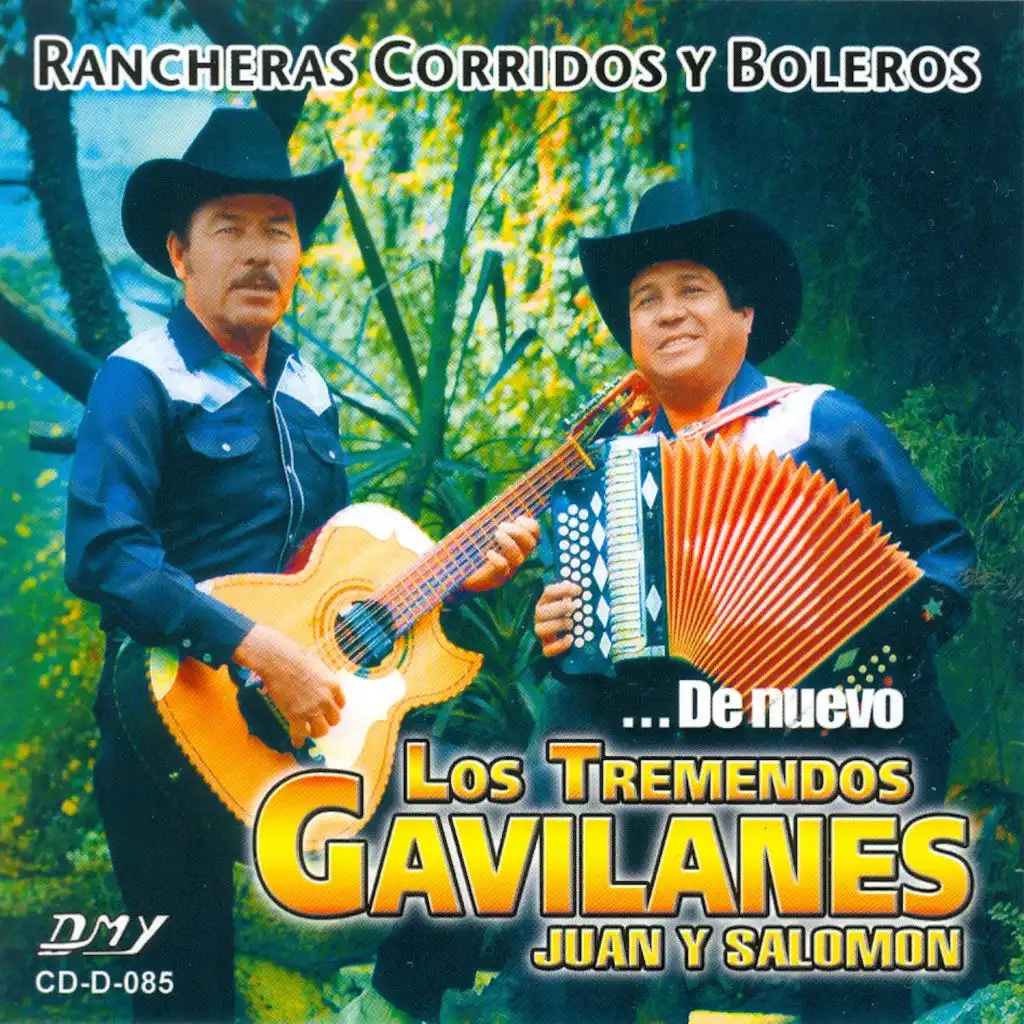 Rancheros Corridos Y Boleros