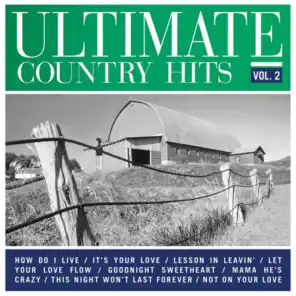 Ultimate Country Hits, Vol. 2