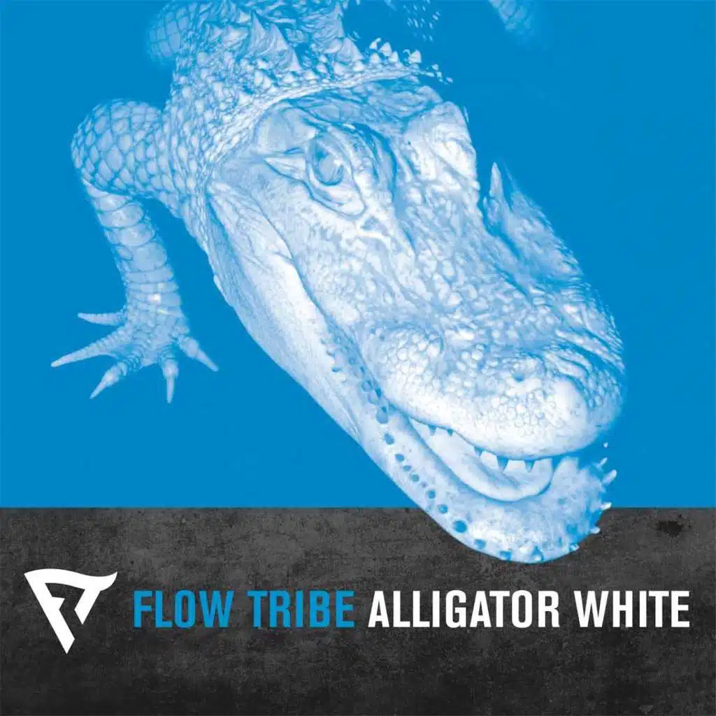 Alligator White
