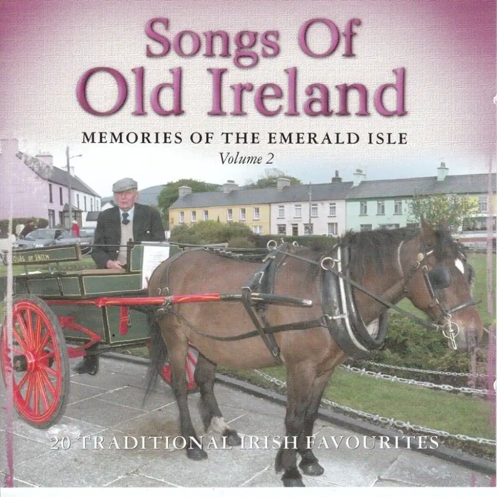 Songs Of Old Ireland, Vol. 2 : 20 Traditional Irish Favourites