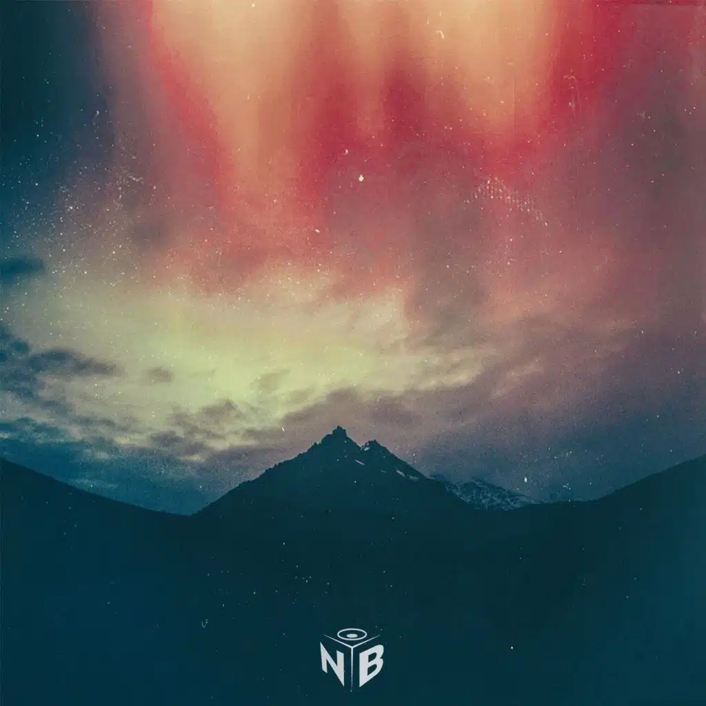 Wilted (feat. Bolshiee)