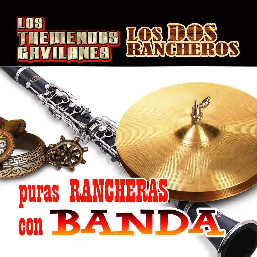 Puras Rancheras Con Banda