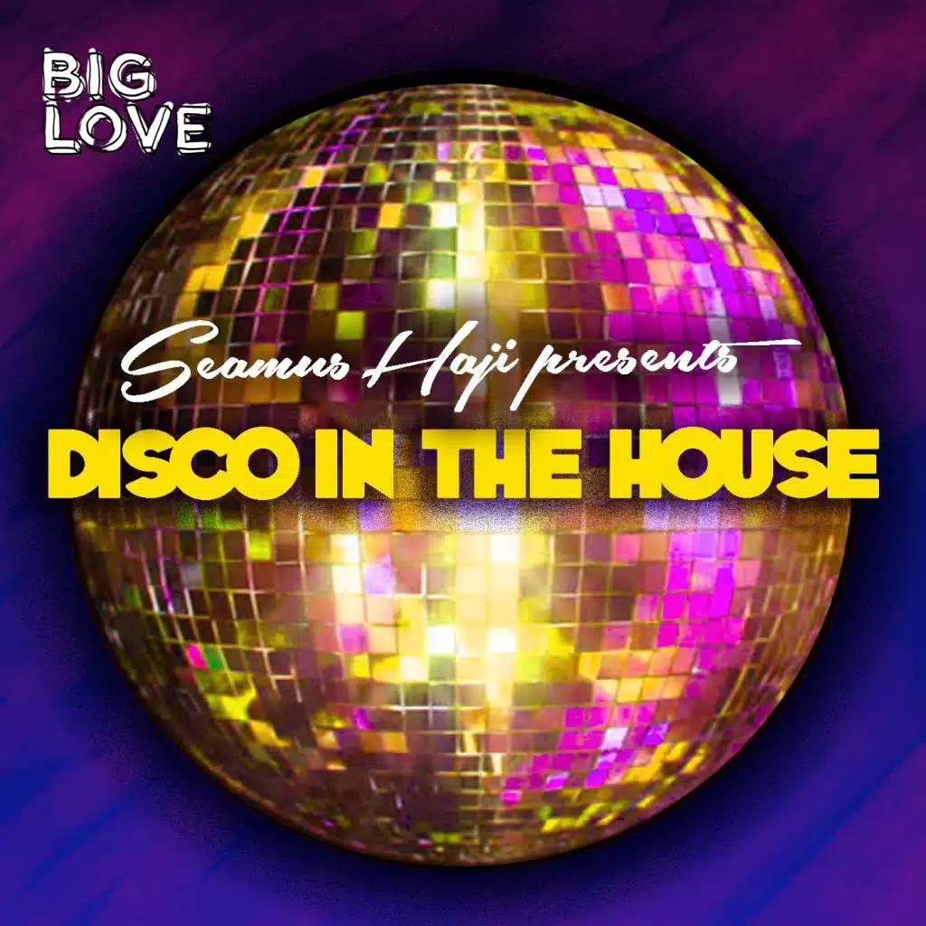 Love The Way U Move (Seamus Haji Mix)